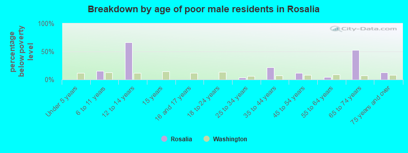 Breakdown by age of poor male residents in Rosalia