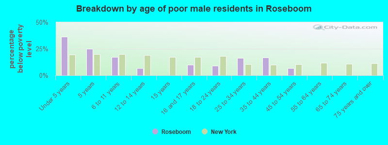 Breakdown by age of poor male residents in Roseboom