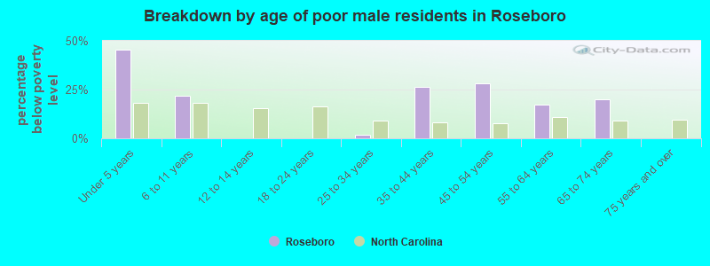 Breakdown by age of poor male residents in Roseboro