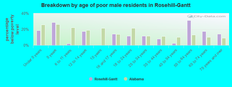 Breakdown by age of poor male residents in Rosehill-Gantt