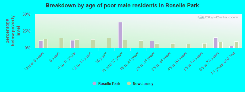 Breakdown by age of poor male residents in Roselle Park