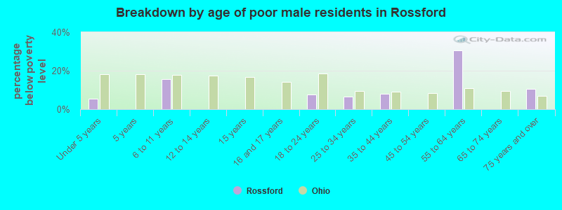 Breakdown by age of poor male residents in Rossford