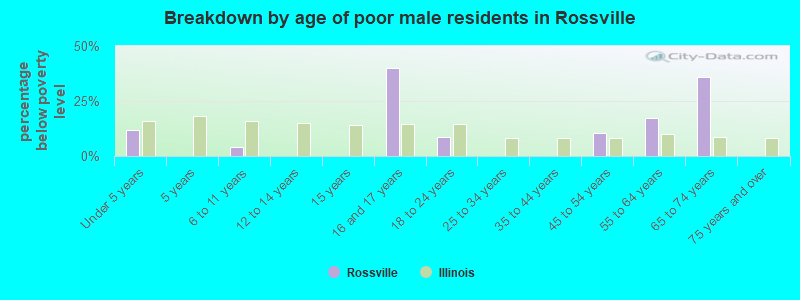 Breakdown by age of poor male residents in Rossville