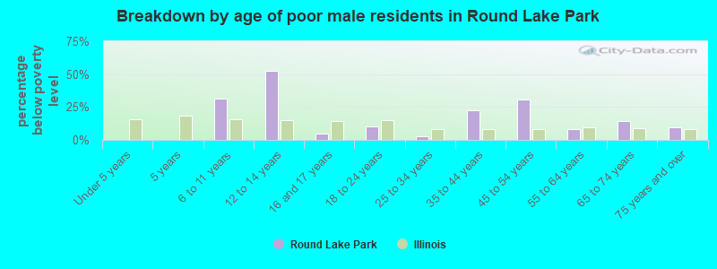 Breakdown by age of poor male residents in Round Lake Park