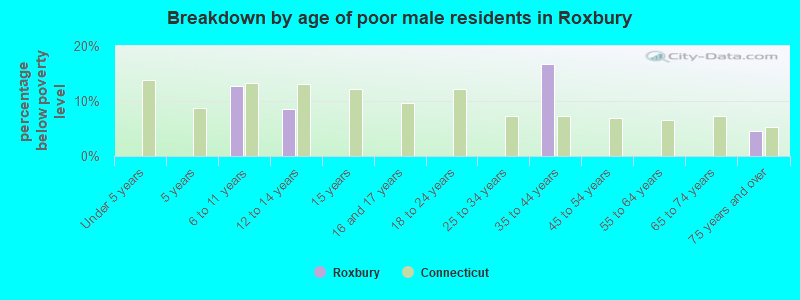 Breakdown by age of poor male residents in Roxbury