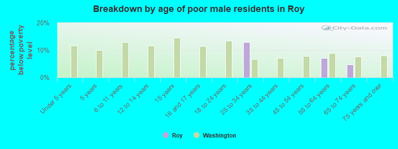 Breakdown by age of poor male residents in Roy