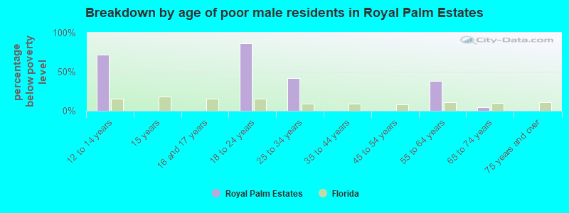 Breakdown by age of poor male residents in Royal Palm Estates