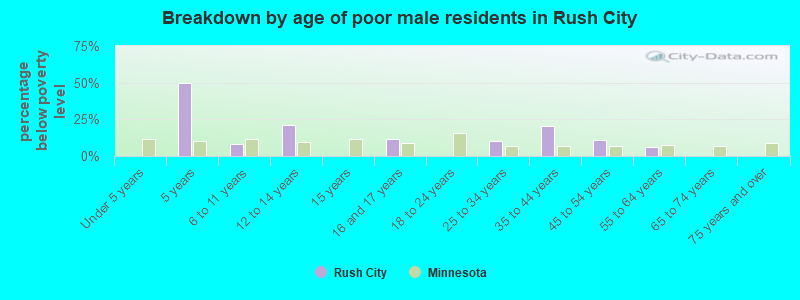 Breakdown by age of poor male residents in Rush City