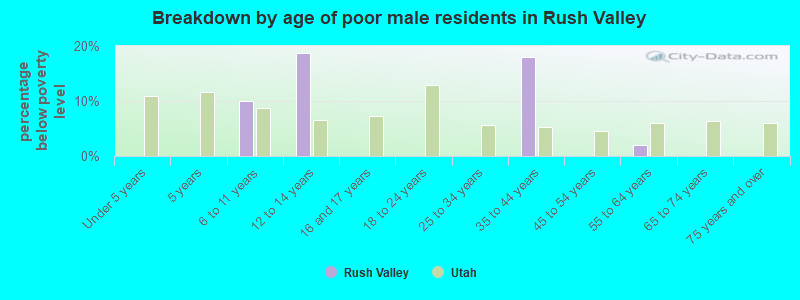 Breakdown by age of poor male residents in Rush Valley