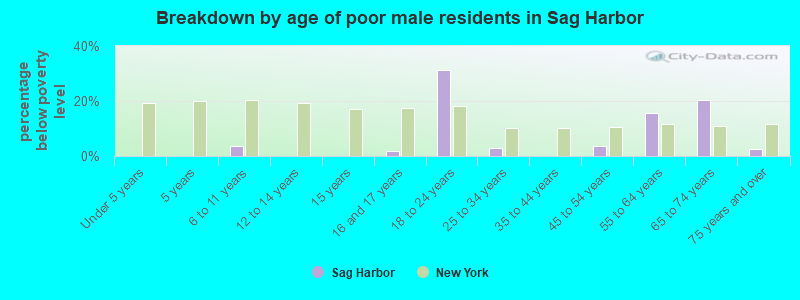 Breakdown by age of poor male residents in Sag Harbor