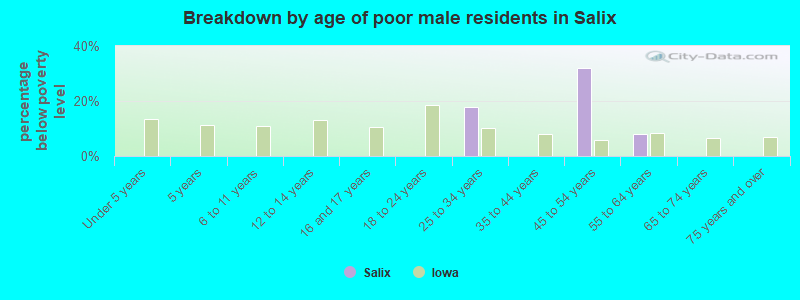 Breakdown by age of poor male residents in Salix