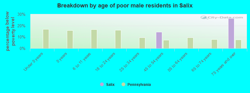 Breakdown by age of poor male residents in Salix