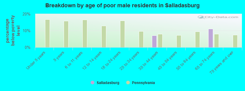 Breakdown by age of poor male residents in Salladasburg