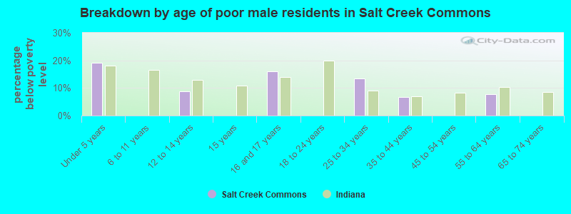 Breakdown by age of poor male residents in Salt Creek Commons