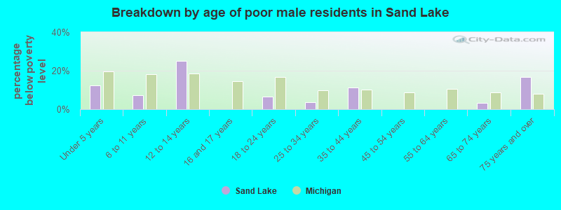 Breakdown by age of poor male residents in Sand Lake