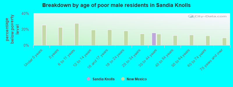 Breakdown by age of poor male residents in Sandia Knolls