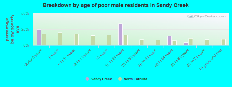 Breakdown by age of poor male residents in Sandy Creek