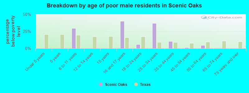 Breakdown by age of poor male residents in Scenic Oaks