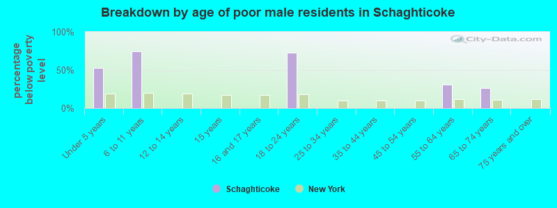 Breakdown by age of poor male residents in Schaghticoke