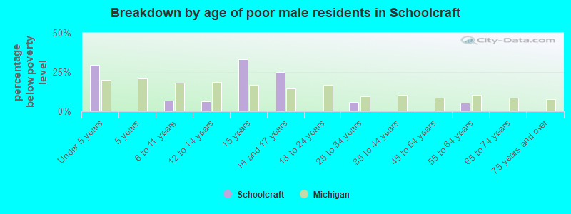 Breakdown by age of poor male residents in Schoolcraft