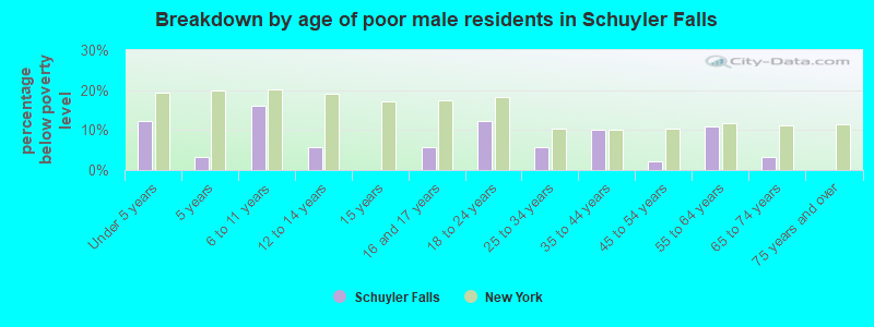 Breakdown by age of poor male residents in Schuyler Falls