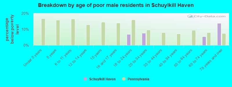 Breakdown by age of poor male residents in Schuylkill Haven