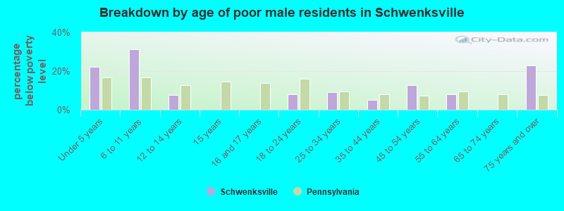 Breakdown by age of poor male residents in Schwenksville
