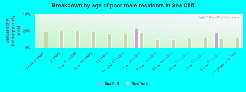 Breakdown by age of poor male residents in Sea Cliff