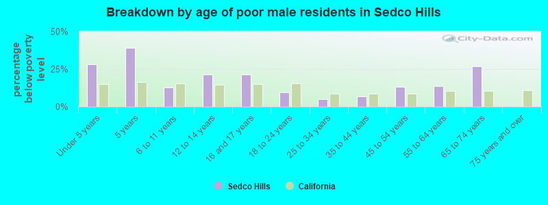 Breakdown by age of poor male residents in Sedco Hills