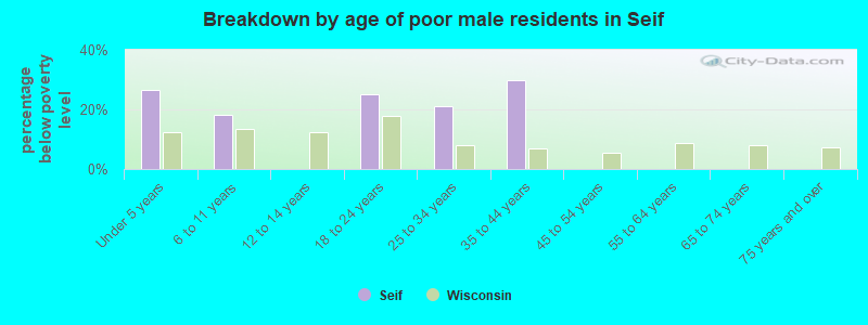 Breakdown by age of poor male residents in Seif