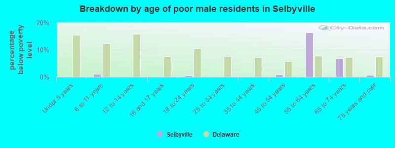 Breakdown by age of poor male residents in Selbyville