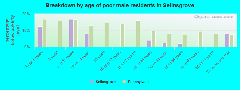 Breakdown by age of poor male residents in Selinsgrove