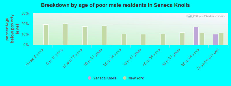 Breakdown by age of poor male residents in Seneca Knolls