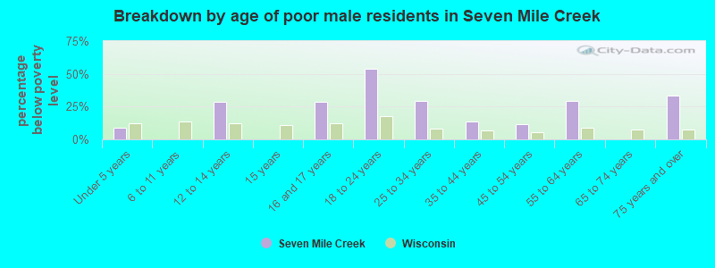 Breakdown by age of poor male residents in Seven Mile Creek