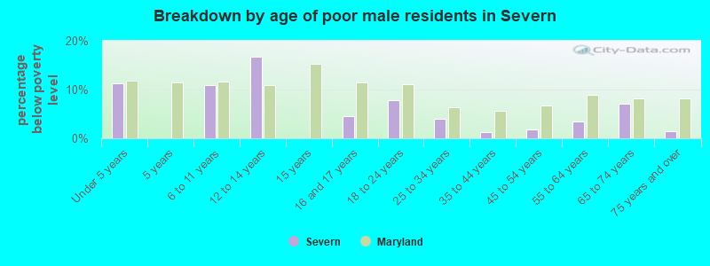 Breakdown by age of poor male residents in Severn