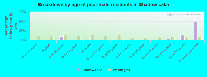 Breakdown by age of poor male residents in Shadow Lake