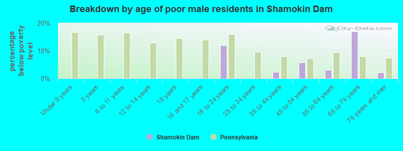 Breakdown by age of poor male residents in Shamokin Dam
