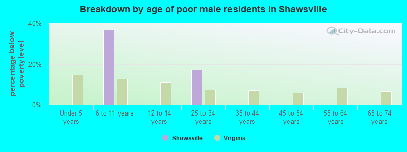 Breakdown by age of poor male residents in Shawsville