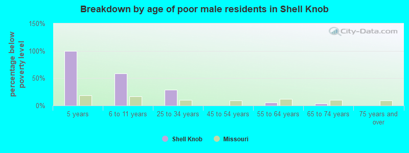 Breakdown by age of poor male residents in Shell Knob
