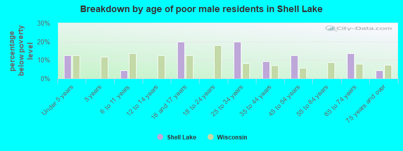 Breakdown by age of poor male residents in Shell Lake