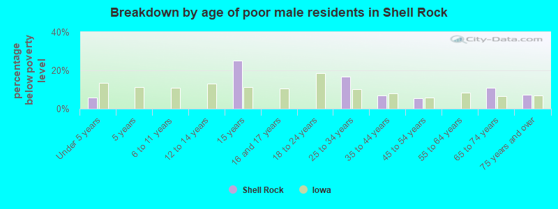 Breakdown by age of poor male residents in Shell Rock