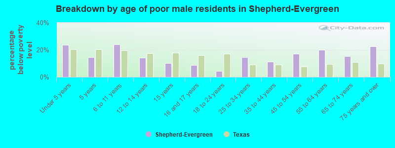 Breakdown by age of poor male residents in Shepherd-Evergreen
