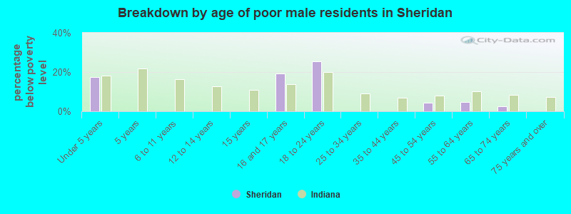 Breakdown by age of poor male residents in Sheridan