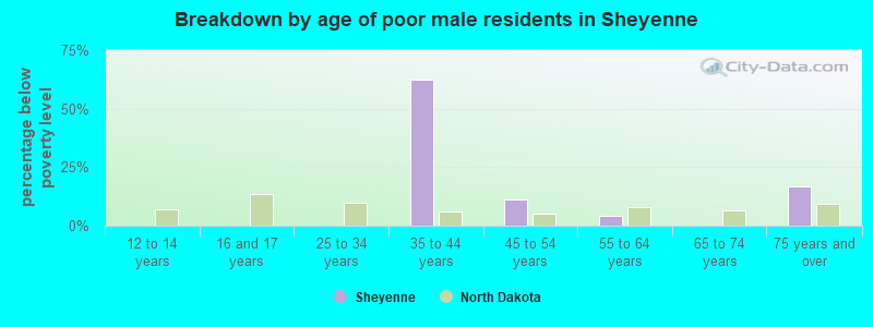 Breakdown by age of poor male residents in Sheyenne