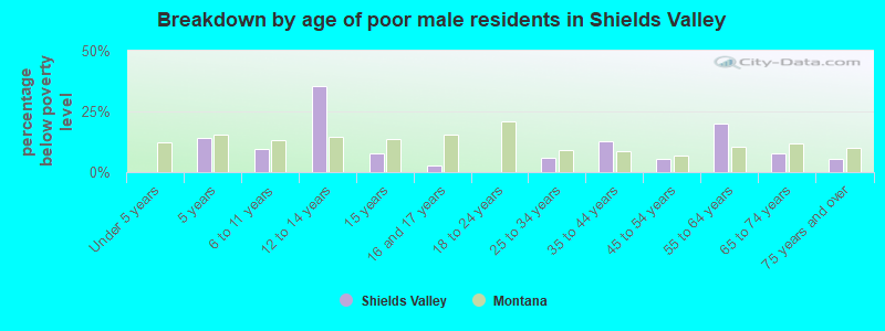 Breakdown by age of poor male residents in Shields Valley