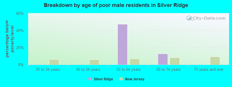Breakdown by age of poor male residents in Silver Ridge