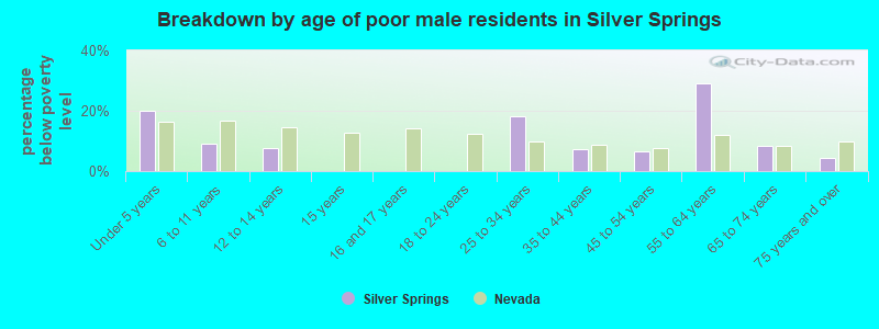 Breakdown by age of poor male residents in Silver Springs