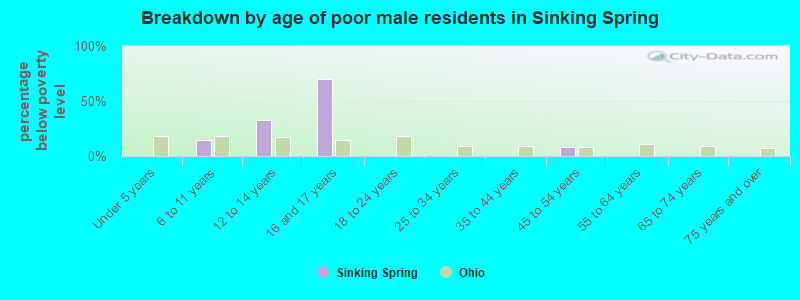 Breakdown by age of poor male residents in Sinking Spring