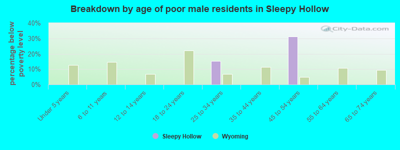 Breakdown by age of poor male residents in Sleepy Hollow