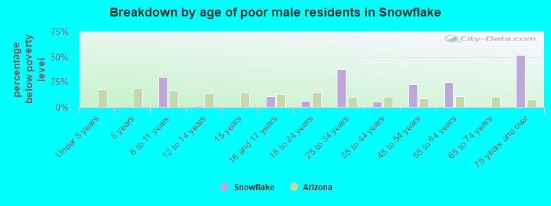 Breakdown by age of poor male residents in Snowflake